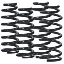 Ressort hélicoïdal arriere +20mm OME Suzuki Gd Vitara (05-08)